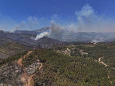 Syria wildfires contained after 10 days